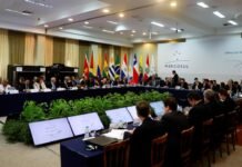 Mercosur y Japón iniciarán negociaciones para un TLC en abril, según canciller paraguayo