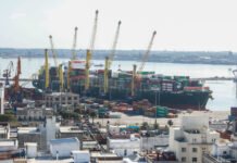 Gremio de transportistas denuncia “demoras” en Puerto de Montevideo por falta de personal