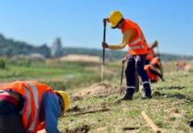 Plantatón 2024: sumarán 5.000 árboles a la Costanera Sur