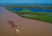 Nueva Agencia Nacional de Puertos y Navegación: Iñaki Arreseygor liderará el cambio estratégico en la gestión portuaria y fluvial de Argentina