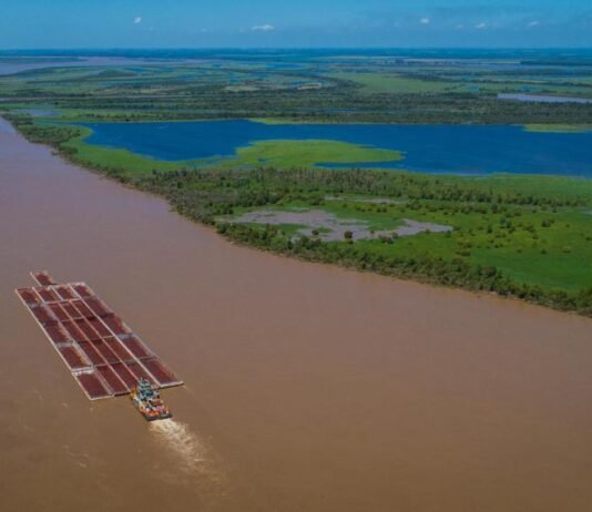 La Hidrovía Paraná-Paraguay, su situación actual y perspectivas a futuro