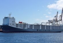 Un «macro establo» flotante: el barco que transporta a más de 75.000 ovejas a través de los océanos