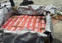 Decomisan en Panamá más de 1,600 kilos de cocaína ocultos en contenedores