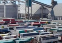 Camiones con granos se duplicarán durante 2024 en puertos del Gran Rosario
