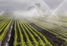 Aplican Inteligencia Artificial para la reutilización de aguas residuales y sus nutrientes en el sector agrícola