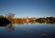 Paysandú ya está en nivel de evacuación según la Comisión Administradora del Río Uruguay