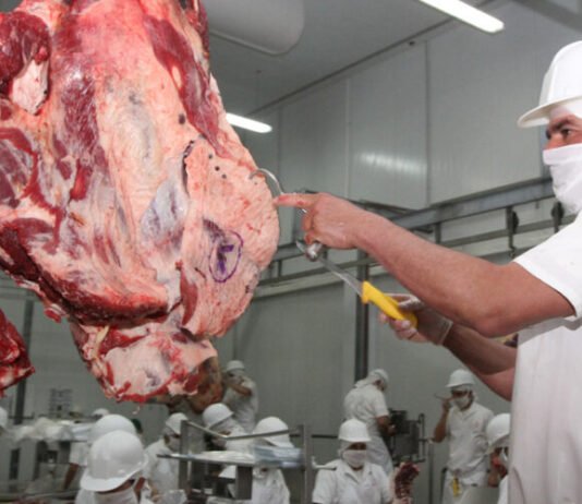 Exportación de carne bovina generó ingresos por más de USD 461 millones hasta abril