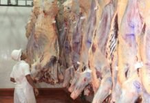 Cámara de Comercio Paraguayo Americana aboga por ingreso de carne a EE. UU.