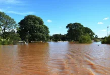 Reportan un descenso del río Uruguay, aguas abajo de la represa de Salto Grande