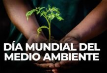 Desertificación en la mirada del Día Mundial del Medio Ambiente