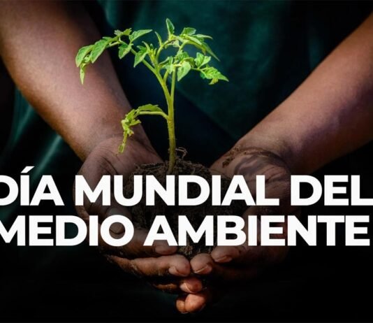 Desertificación en la mirada del Día Mundial del Medio Ambiente