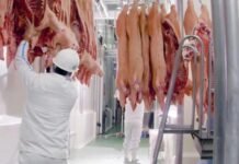 Exportaciones paraguayas de carne porcina aumentaron 113% en comparación al año pasado