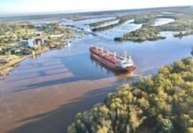 Argentina: Puerto de Concepción del Uruguay inicia exportaciones de madera rumbo a Argelia