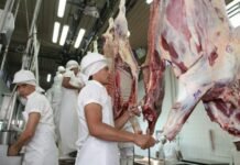Paraguay enviará este viernes histórico primer cargamento de carne al mercado de Canadá