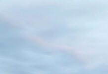 Colisiónan en el río Paraná un buque granelero Panameño contra el convoy de barcazas del remolcador Boliviano HB PERSEUS