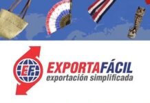 Exporta Fácil puede enviar paquetes de hasta 20 kilos a través de Dinacopa