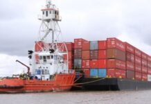 Exportaciones del primer semestre fueron las mayores de los últimos cinco años, llegando a 136 mercados