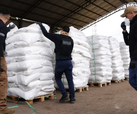 Récord en incautación de drogas: duro golpe al crimen organizado