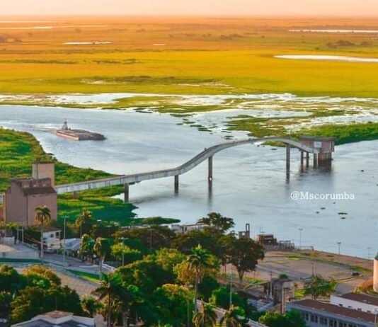 Perspectivas de lluvias en el Pantanal y Mato Grosso: Clave para los Niveles del Río Paraguay