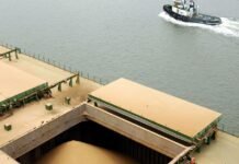 Argentina supera a Brasil y recupera el primer lugar del ranking de exportaciones del producto que más dólares genera