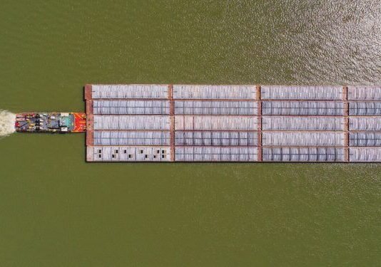 Eficiencia Energética y Descarbonización en el Transporte Fluvial: Innovaciones y Desafíos para la Sostenibilidad del Sector