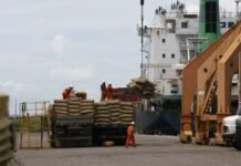 El Flagelo del Narcotráfico en Sudamérica: Una Amenaza Transnacional que conecta el Conosur con otros Continentes