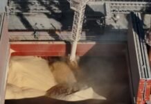 Importadores europeos están acelerando compras de harina de soja sudamericana ante un eventual escenario de corte de suministros