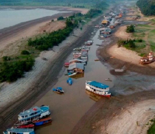 Graves consecuencias por la sequía: el río Amazonas se queda sin agua