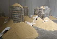 Incautaron 3.600 kg de cocaína en Portugal, que salieron de Paraguay y pasaron por Uruguay