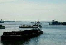 Paraguay Fluvial y Logística: 9 años de liderazgo en la información especializada de toda la cadena logística multimodal