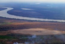 El Pantanal bajo alerta: la sequía podría extenderse durante la próxima década