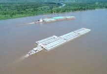 Paraguay alcanza récord histórico en exportación de soja en 2024