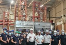 Paraguay busca potenciar su economía con una reforma legal del cannabis industrial