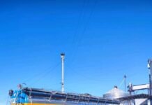 PTP Group impulsa la logística de exportación de cebo vacuno en el puerto de Villeta