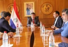 Go-Energy Group invierte USD 700 millones en una planta de amoníaco verde en Paraguay