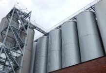 Industrias aceiteras de Paraguay enfrentan crisis: anuncian paro anticipado de actividades