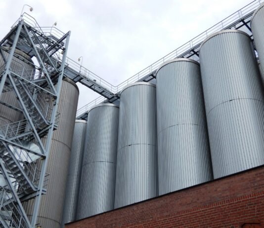 Industrias aceiteras de Paraguay enfrentan crisis: anuncian paro anticipado de actividades