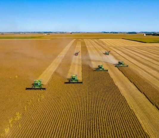 Soja 2023/2024: Récord de exportación sostenido por la logística fluvial pese a la histórica bajante