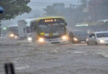 Lluvias Intensas y Alertas Hidrológicas: Impacto en Paraguay, Bolivia y el Río Paraná