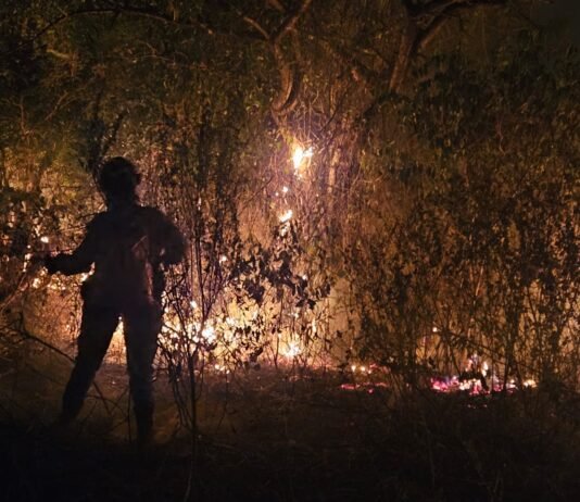 Voraz incendio en el Banco San Miguel: Bomberos enfrentaron llamas hasta altas horas