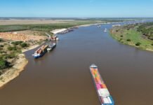 Dragado vs. Sedimentación: La Lucha Constante en el Paso Bermejo