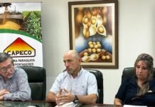 CAPECO: Protagonismo clave en el desarrollo agroexportador del Paraguay
