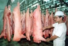 Paraguay abre camino al mercado argentino con su carne porcina de alta calidad