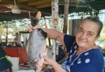 A orillas del río Paraguay: más que una actividad económica, una identidad