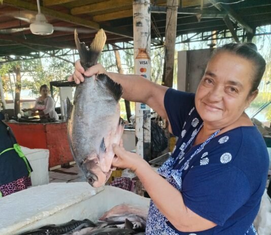 A orillas del río Paraguay: más que una actividad económica, una identidad