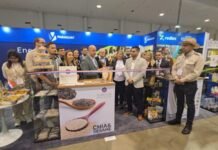 La yerba mate paraguaya (Ilex paraguariensis) despierta interés en la mayor feria de productos naturales de EE.UU.