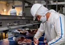 Paraguay conquista el mercado taiwanés con arancel cero para la carne porcina Paraguay