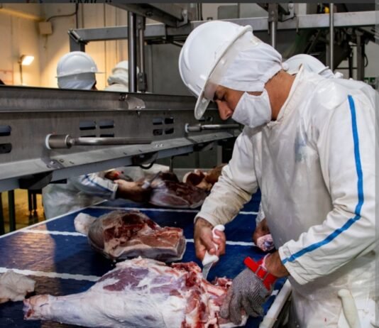 Paraguay conquista el mercado taiwanés con arancel cero para la carne porcina Paraguay