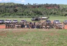 Reinician Operación Nueva Alianza con fuerte despliegue en Amambay: Erradican 36 toneladas de droga