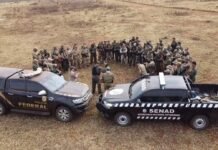 Golpe histórico al narcotráfico: Operativo conjunto entre Paraguay y Brasil saca de circulación marihuana por USD 150 millones